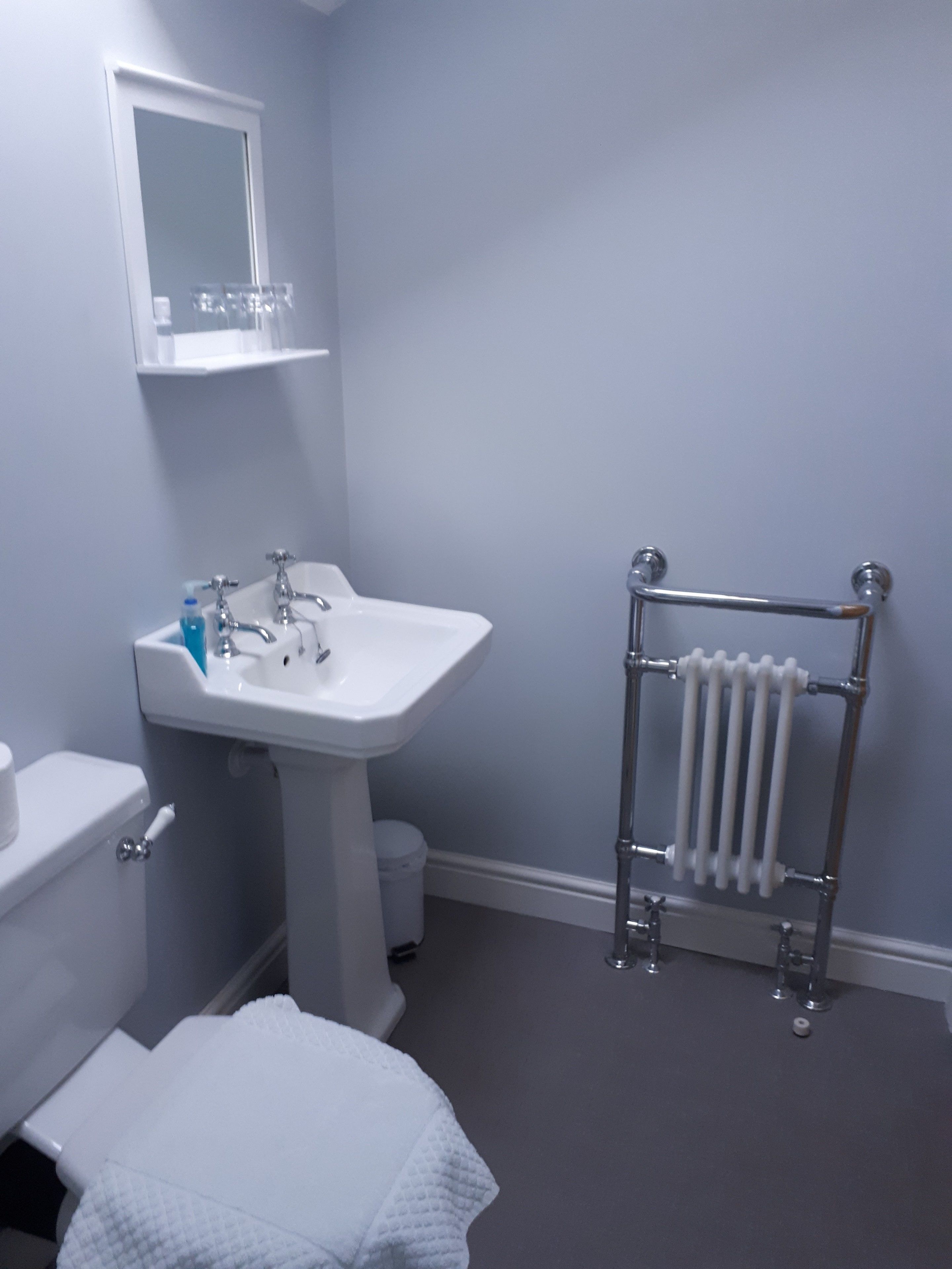 A bathroom with a white sink, a toilet, a mirror, and a radiator.