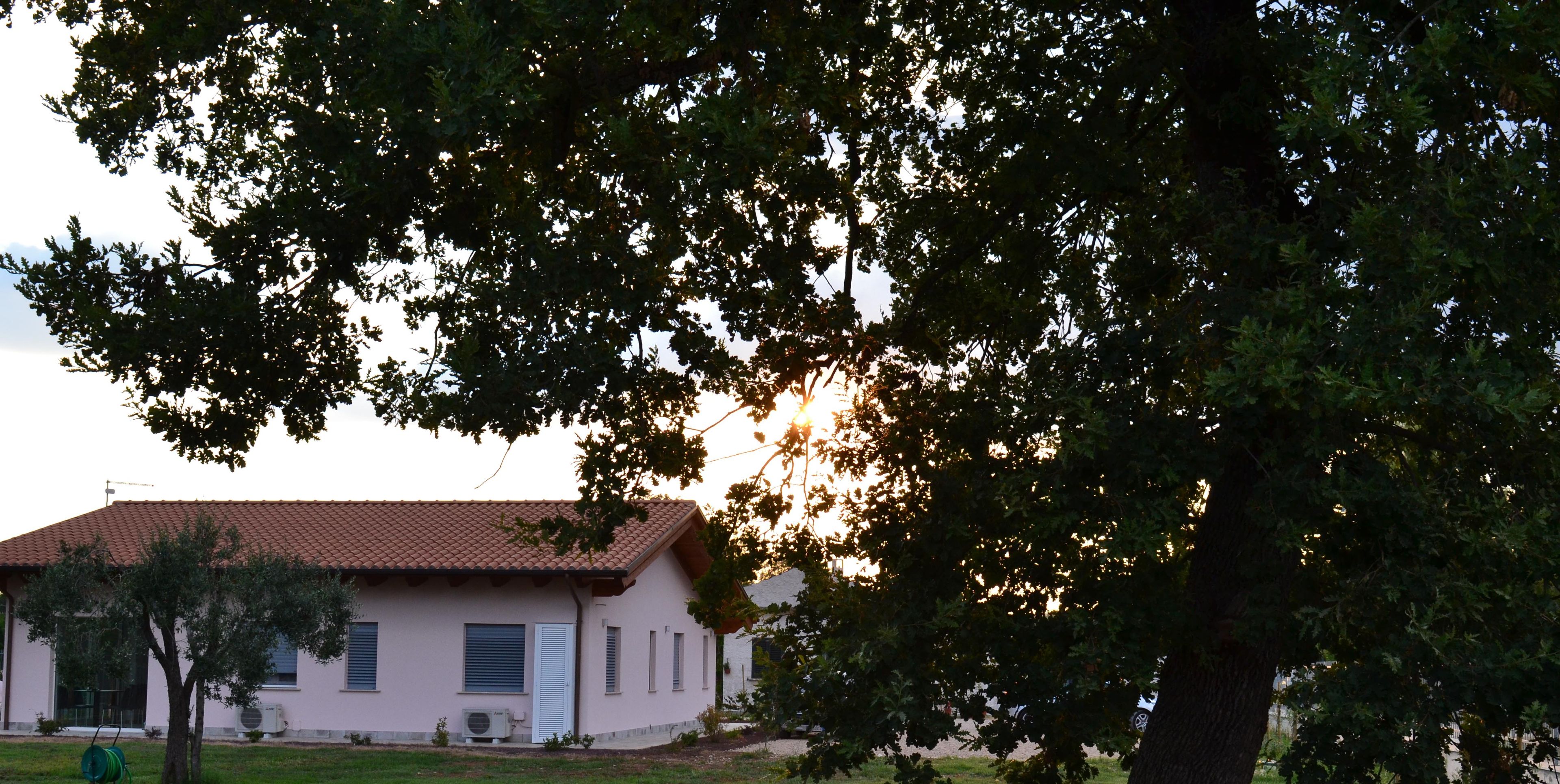 A house with a tiled roof, a small garden, and a tree in the foreground.