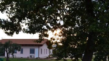 A house with a tiled roof, a small garden, and a tree in the foreground.