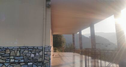 Guest House Pashollari