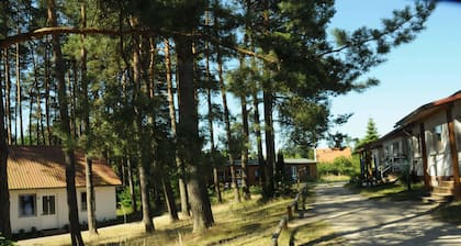 Waldsiedlung Waschsee
