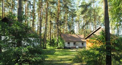 Waldsiedlung Waschsee