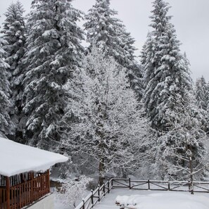 Paisaje nevado con densos árboles de hoja perenne y una valla de madera.