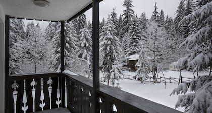 Victoria Borovets