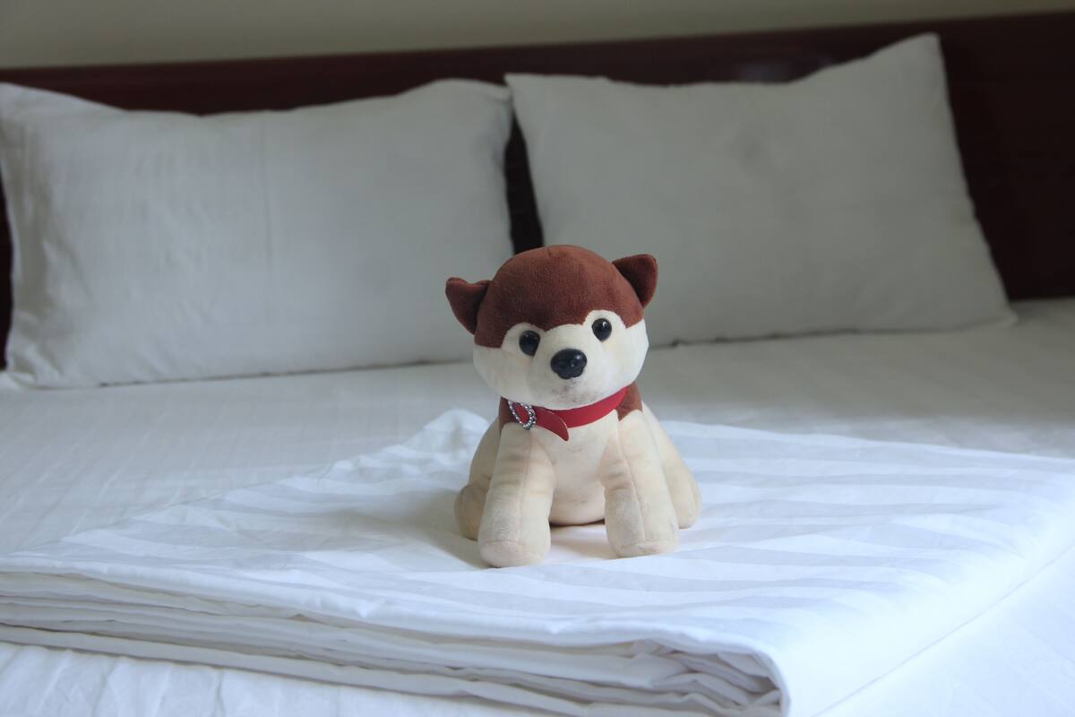 Superior Double Room, Non Smoking | Premium bedding, desk, WiFi (free), bed sheets