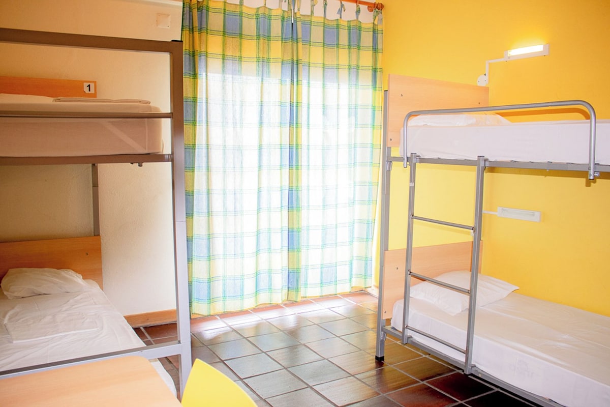 A dormitory room with bunk beds, a curtain, and a wall-mounted light.