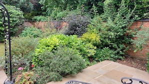 Un jardin avec différentes sortes de plantes et un mur en briques.