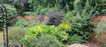 Banbury Cross B&B