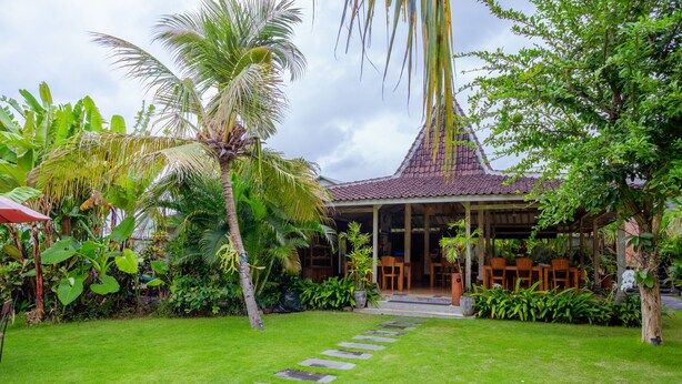 Un jardin tropical agrémenté d’un pavillon en bois, d’un sentier en pierre et d’une végétation luxuriante.