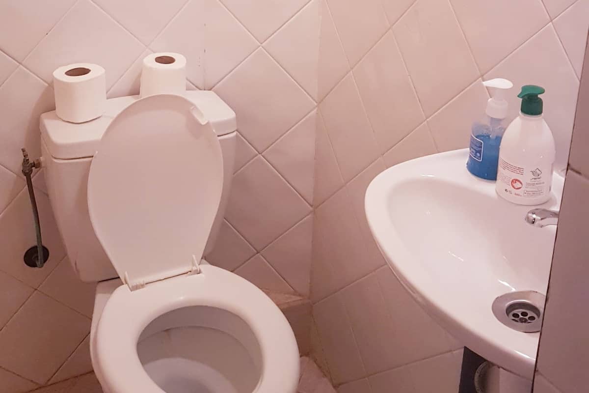 Shower, free toiletries, towels