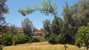 Breakfast, lunch and dinner served  - Auberge Kasbah Ait Marghad (Ait Sedrate Jbel El Soufla)