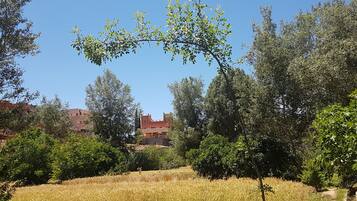 Breakfast, lunch, dinner served; local cuisine