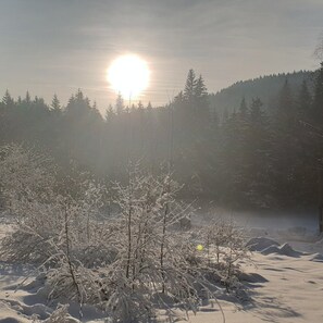 Deluxe Apartment | View from room - Club Rezidence Pod Lučí Loučovice (Loucovice)