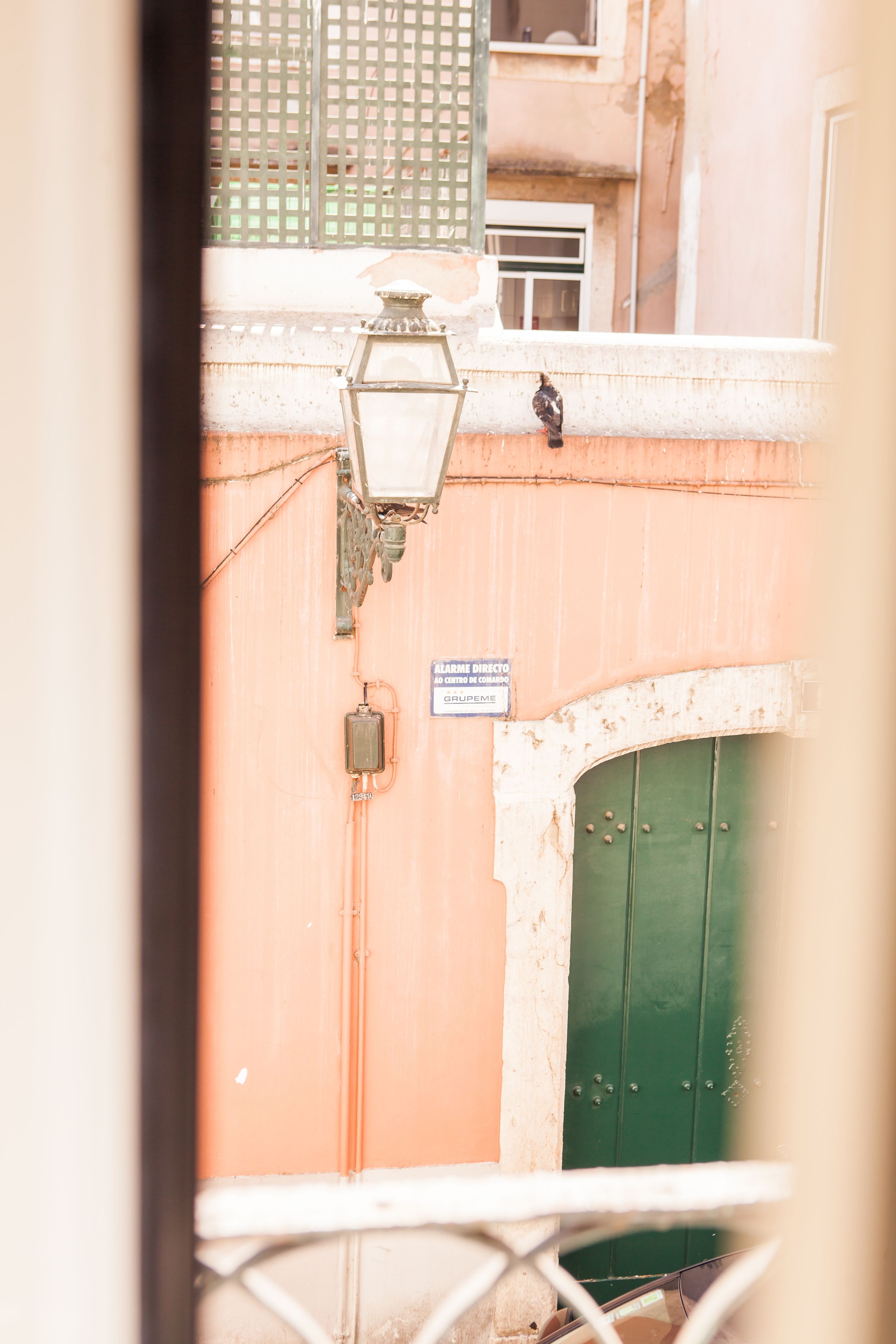 A building with a green door, a sign above it, and a bird perched on the wall.