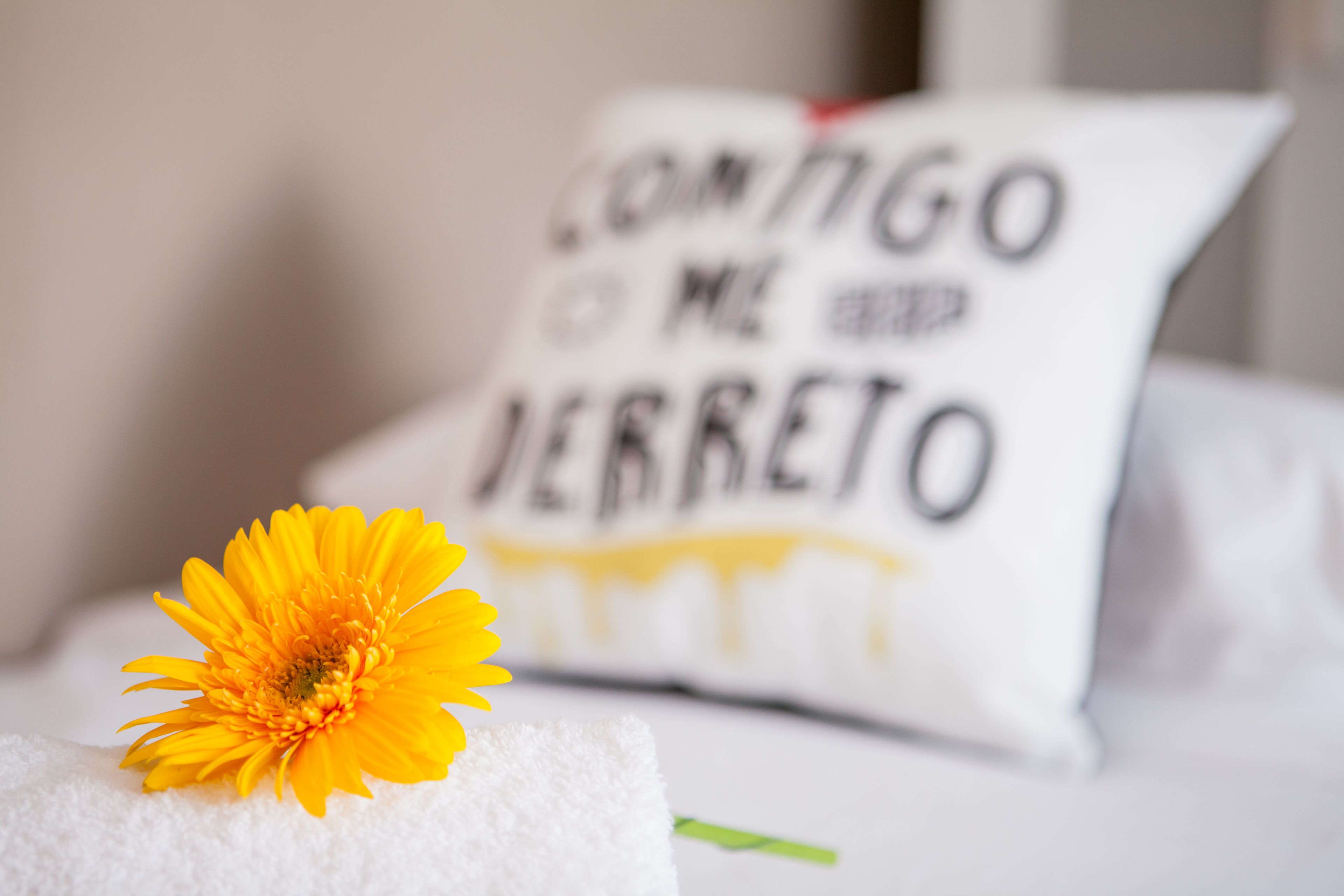 A bed with a white pillow and a yellow flower.