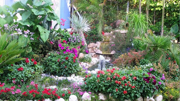 Un exuberante jardín con diversas plantas y flores, un pequeño estanque y un muro de piedra.