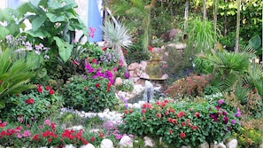 Un exuberante jardín con diversas plantas y flores, un pequeño estanque y un muro de piedra.