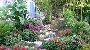 Un jardin luxuriant, avec une grande variété de plantes, une petite cascade et un étang.