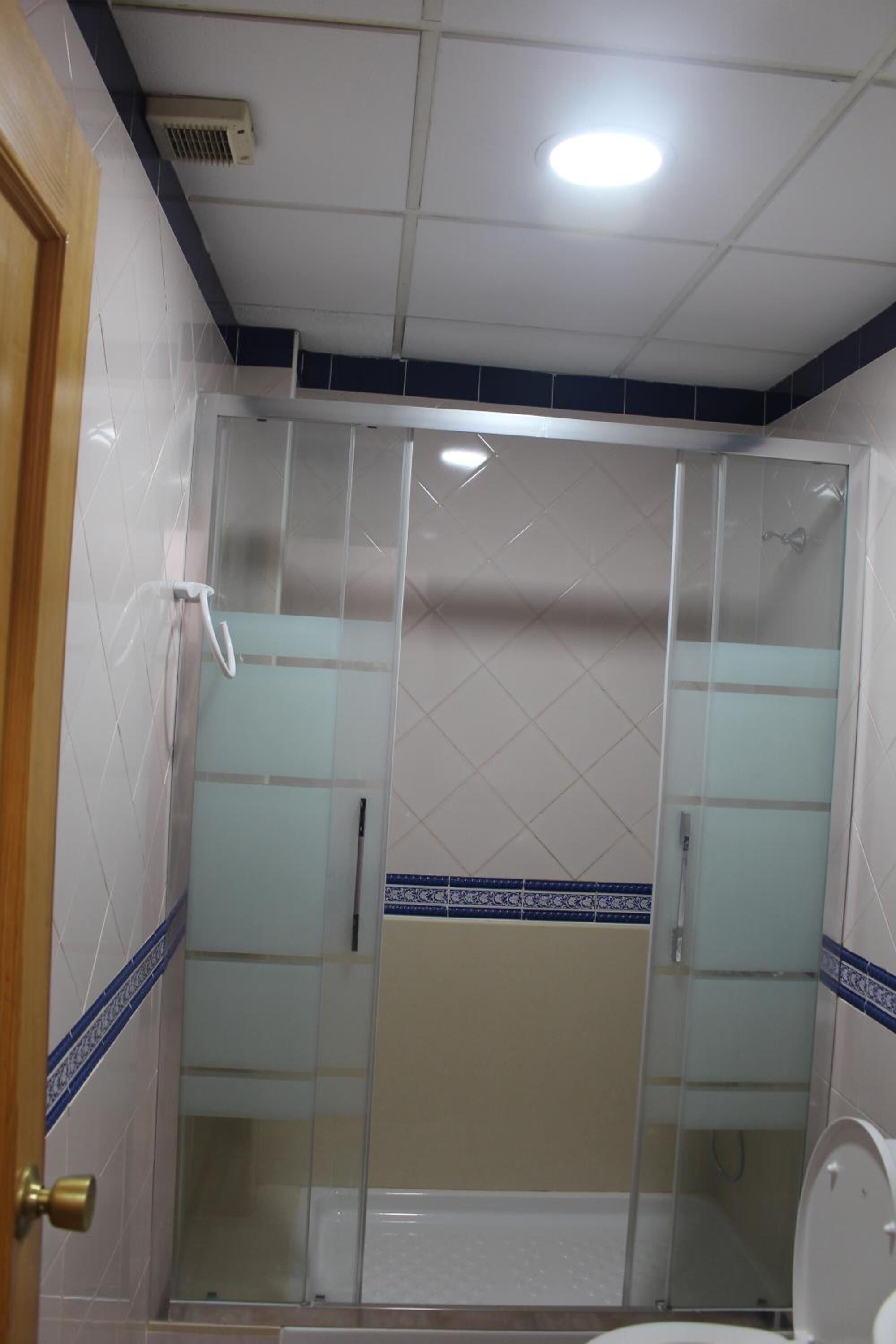 Ducha y cabezal de ducha tipo lluvia