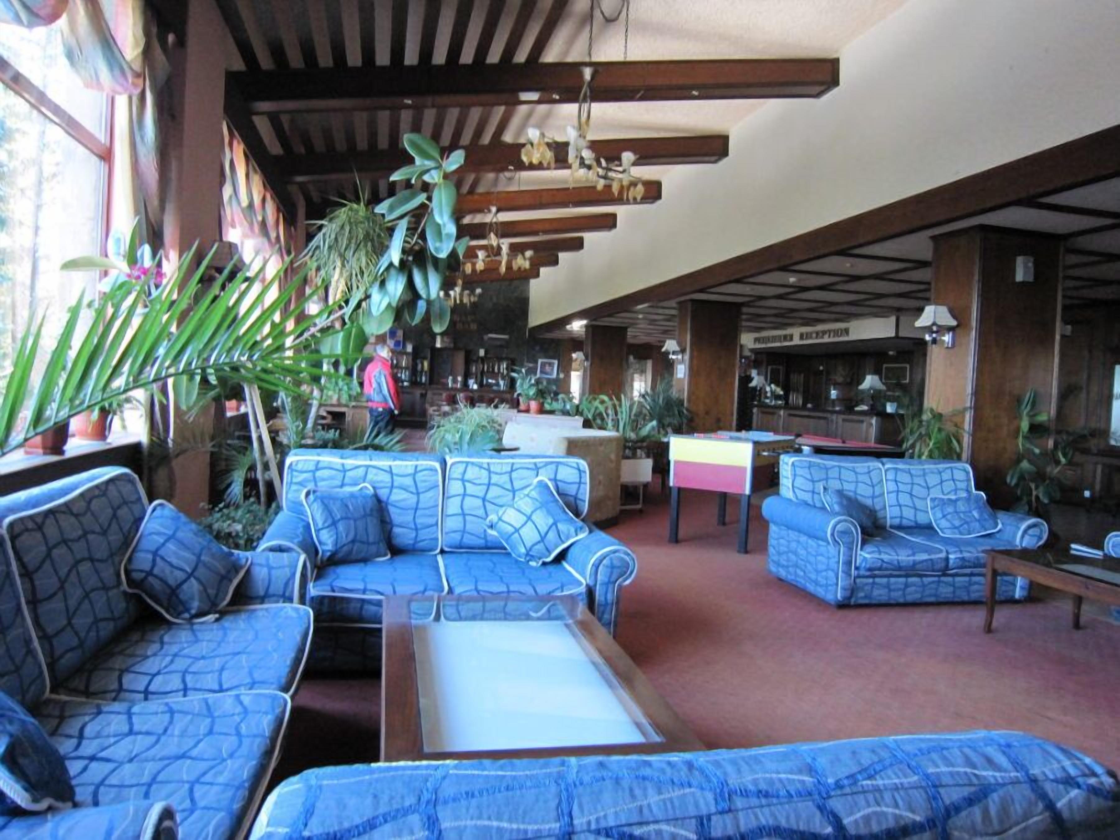 A spacious lobby with blue patterned sofas, a reception desk, and various potted plants.