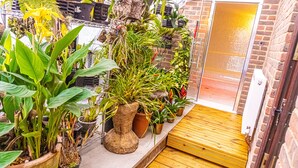 A small, enclosed garden area with various potted plants and a wooden deck leading to a door. - Covehurst Bay Holiday Cottages (Hastings)