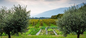 Agriturismo Al Luogo del Giulio