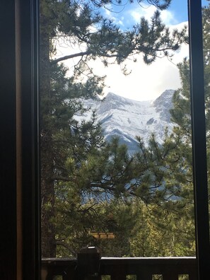 Land view from property