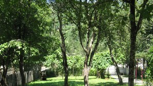 Unclassified image, 2 of 18, button - Hotel Ushba (Mestia)