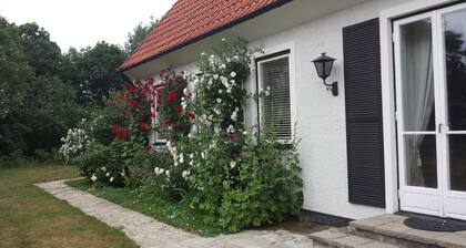 Villa Signedal Hostel