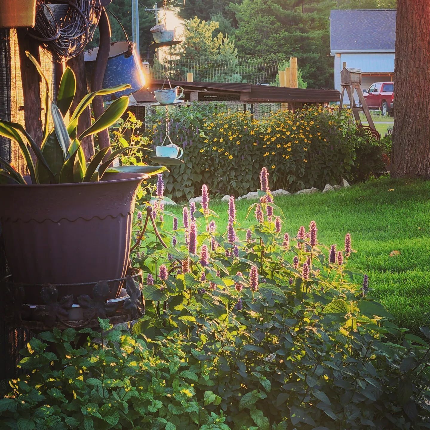 Uitzicht vanuit accommodatie