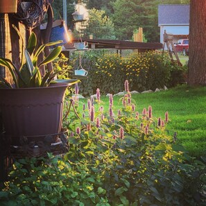 View from property - Applesauce Inn B&B (Bellaire)