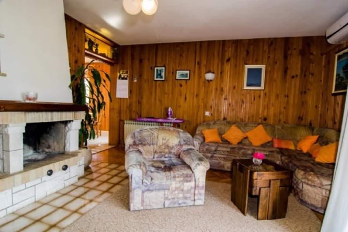 A cozy living room with a fireplace, a patterned armchair, a sofa with orange cushions, and wooden walls.