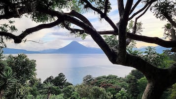 A view of a lake with a mountain in the background, surrounded by dense greenery.