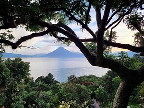Vista de un lago con una montaña al fondo, rodeado de vegetación densa.