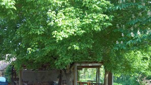 A covered outdoor seating area with tables and chairs under a large tree. - Ferme-Auberge des Trouilles (Lafrancaise)