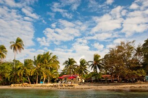Property grounds - Hospedaje Yarisnori (Bocas del Toro)