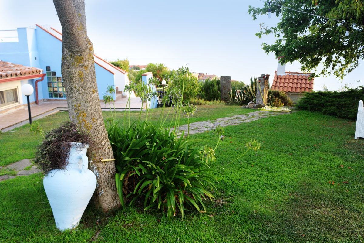 A garden with a white vase, a tree, and a stone pathway.