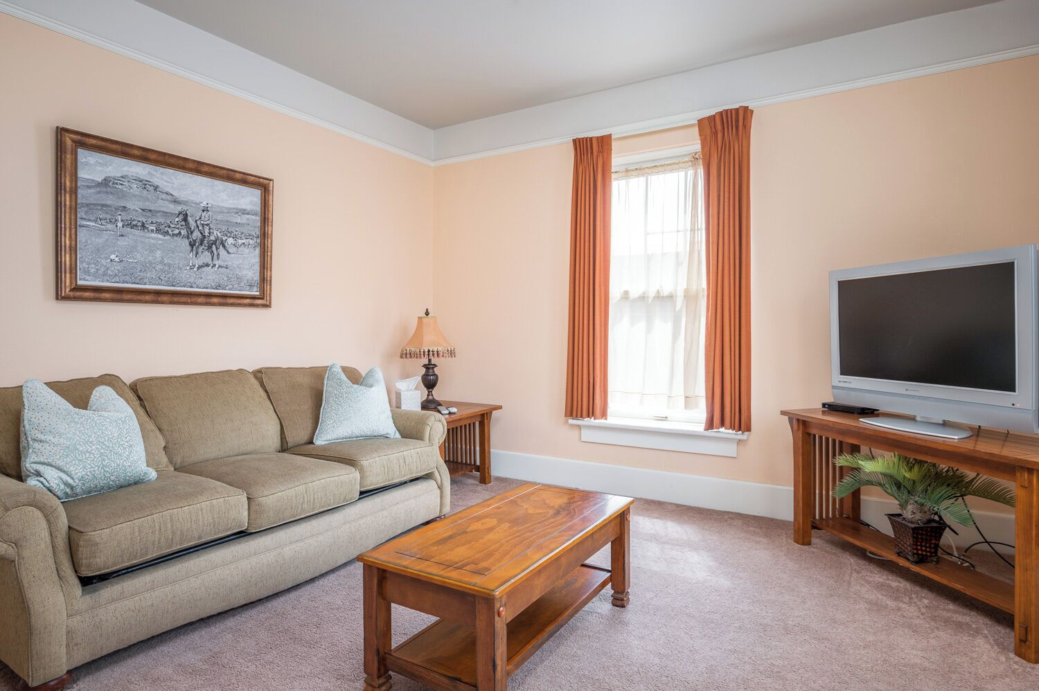 superior suite, 1 queen bed with sofa bed | living area | tv