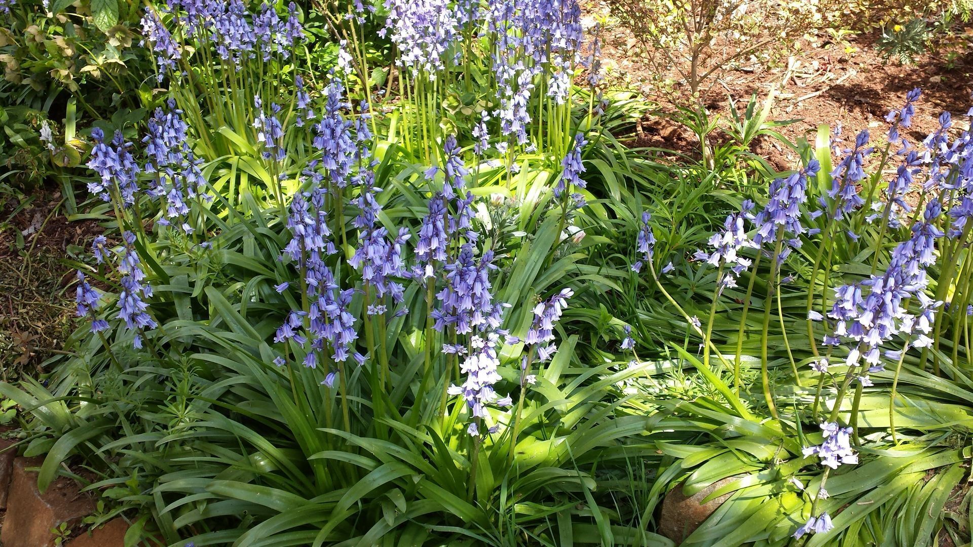 Tarcombe House in Deloraine — image 11