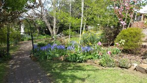 A garden with a paved walkway, various flowering plants, and trees.