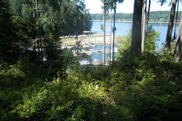 View of Hartstene Pointe Marina from nature trail.