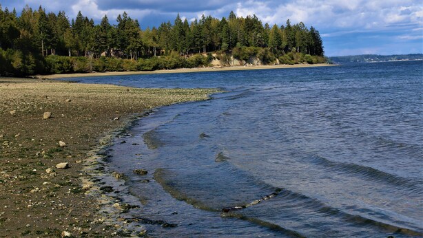 En strand med en stenig kustlinje och ett skogsområde i bakgrunden.