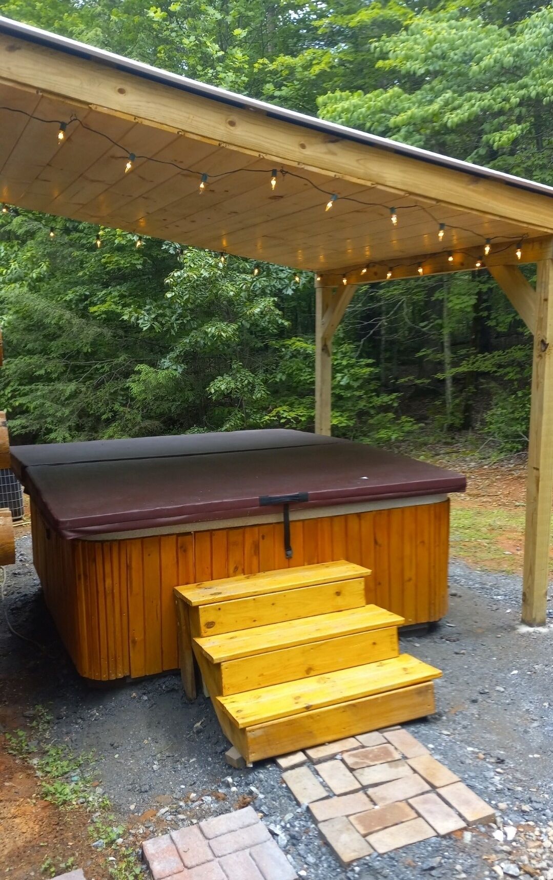 LakeLure vacationPrivate/Lazy riveri Tubing/HOT TUB /Mountains/Lake/ Beach/pets