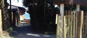 Dolphin Paradise Inn 