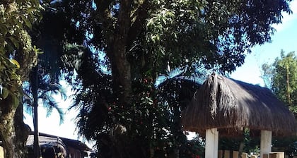 Pousada Paraiso dos Dolphins