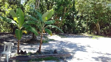Área da propriedade