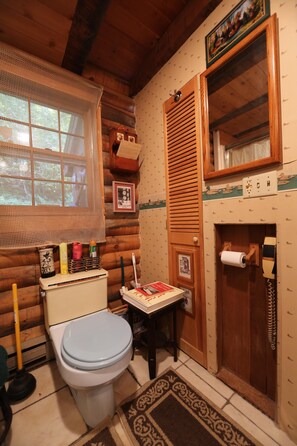 Hair dryer, soap, shampoo, toilet paper