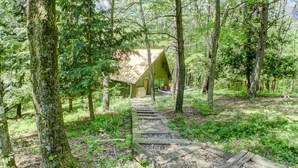 Une cabane rustique située dans une forêt, avec un sentier en bois menant à celle-ci.