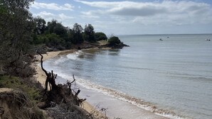 Une plage aux rivages sablonneux, avec quelques plantes et une eau calme.