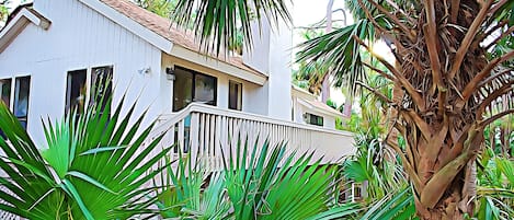 A two-story house with a balcony, surrounded by lush green plants and a palm tree.